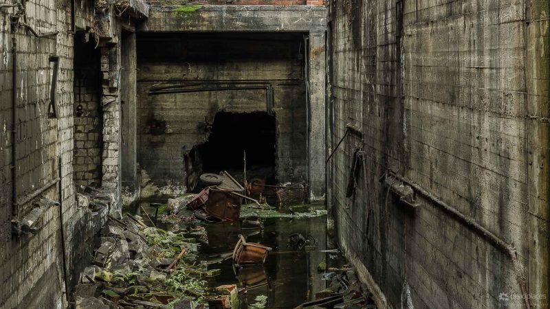 Antwort auf alle Fragen